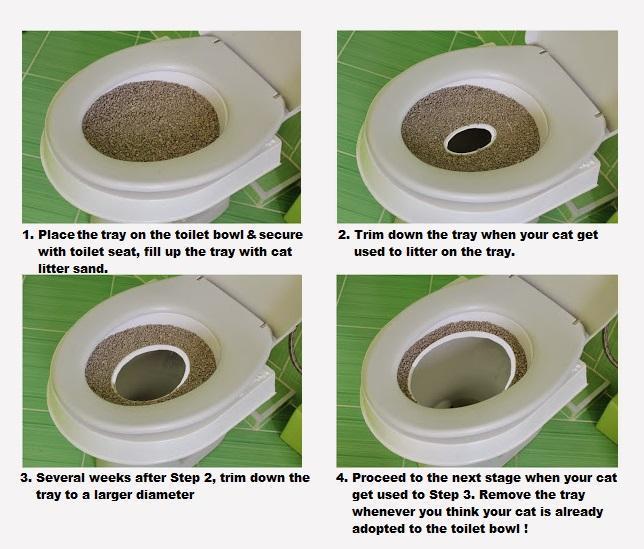 Cat Toilet Training Kit