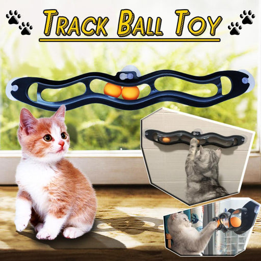 Track Ball Toy