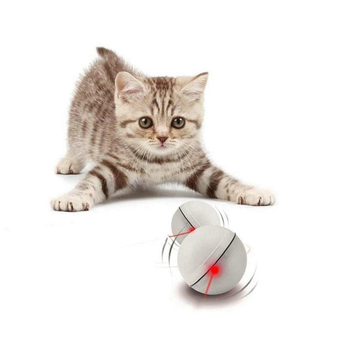 Rolling Laser Ball Pet Toy