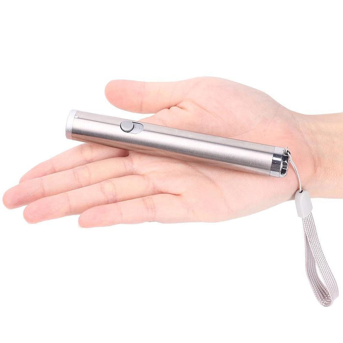 Pet Pointer Laser