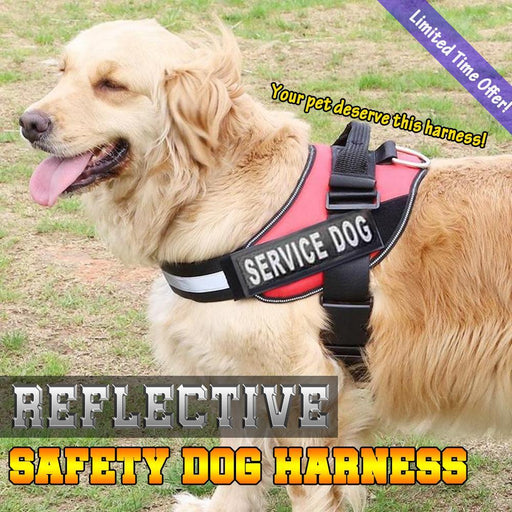 Reflective Safety Dog Harness