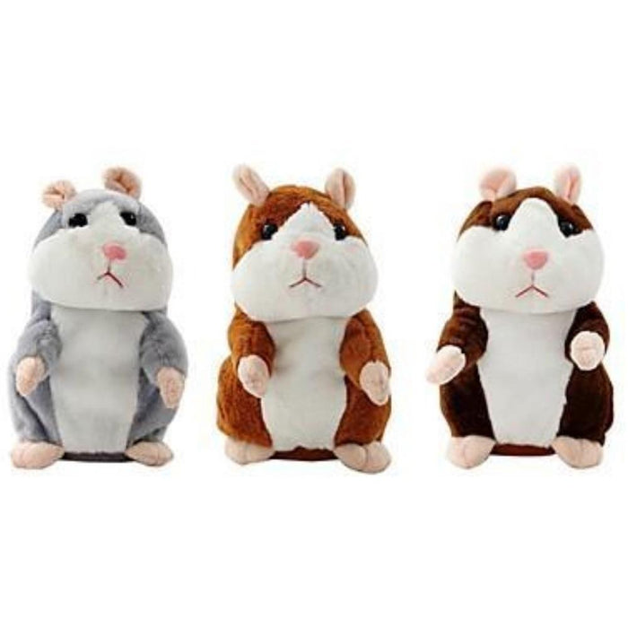 Talking Hamster