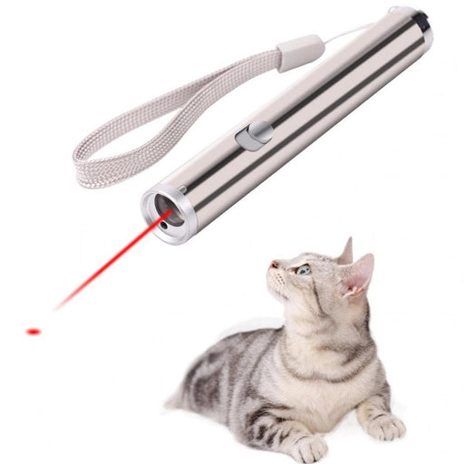 Pet Pointer Laser