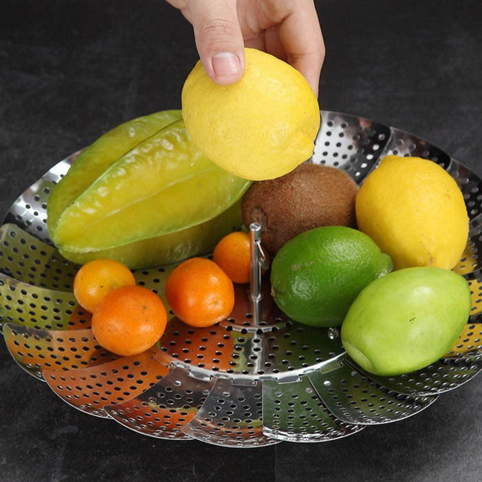 Foldable Steamer