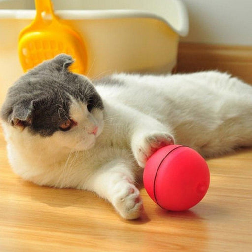 Rolling Laser Ball Pet Toy