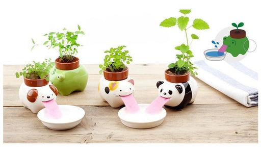 Drinking Animal Planter