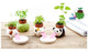 Drinking Animal Planter