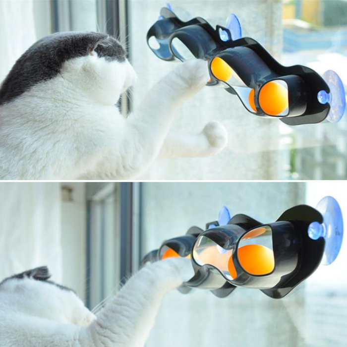Track Ball Toy