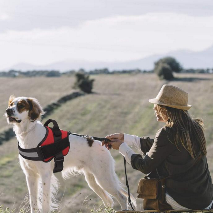 Reflective Safety Dog Harness