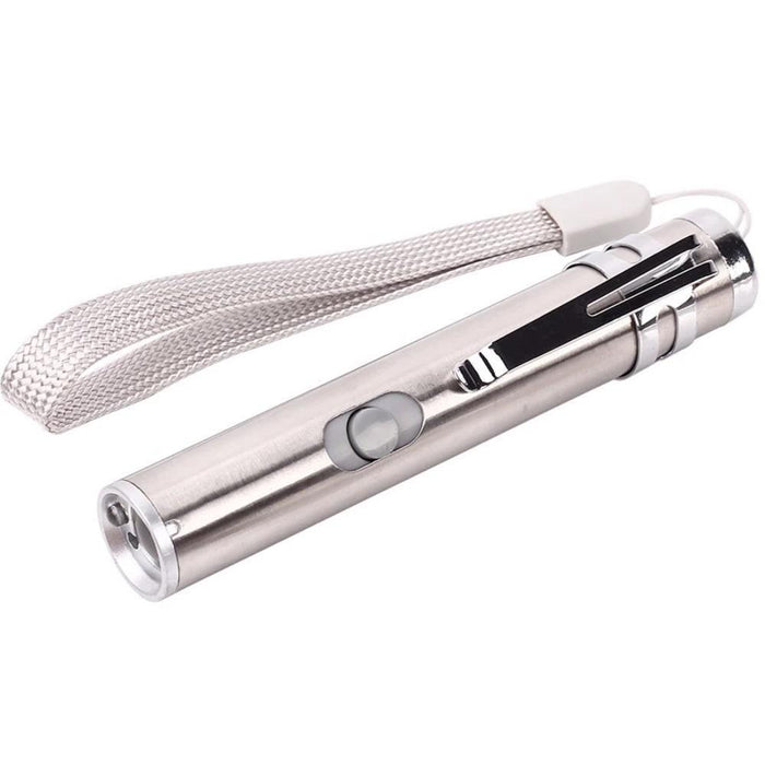 Pet Pointer Laser