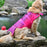Dog Life Jacket