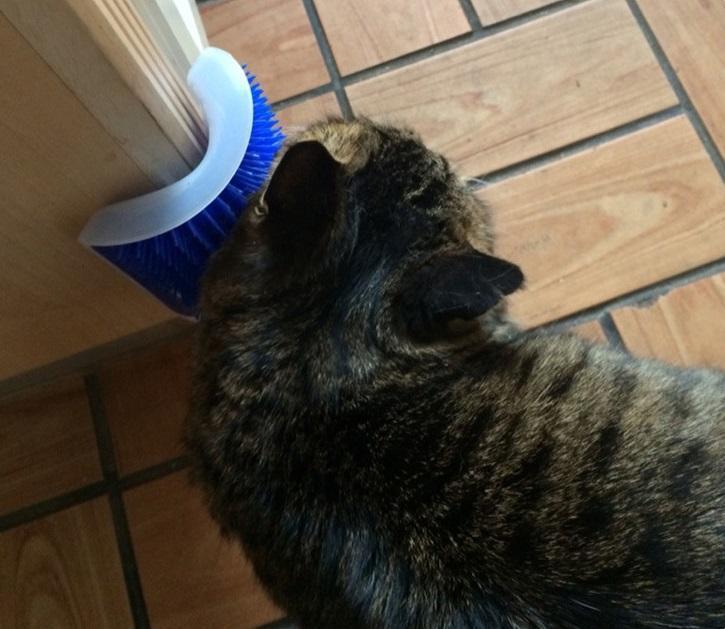 Cat Self Grooming Brush