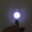 Pet Pointer Laser