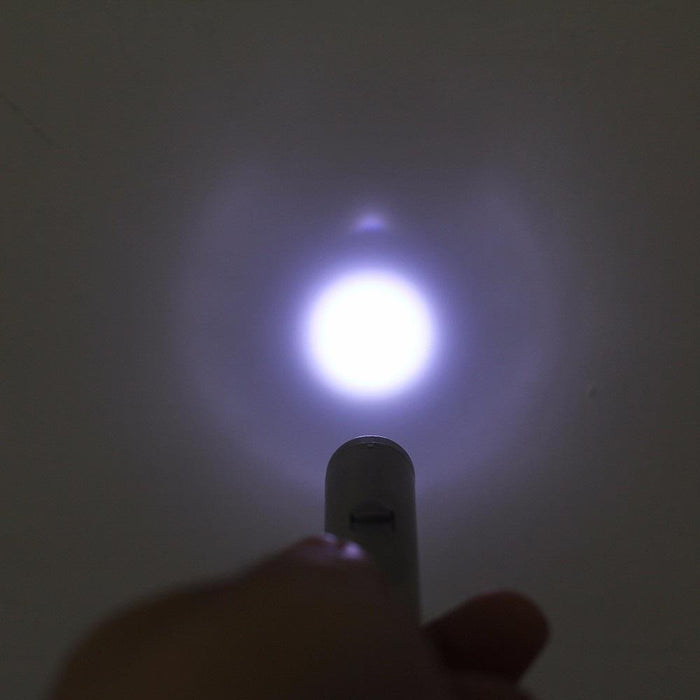 Pet Pointer Laser