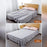 BedSheet Grippers Clip