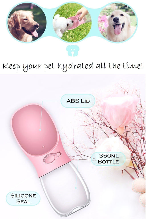 Pet Bottle