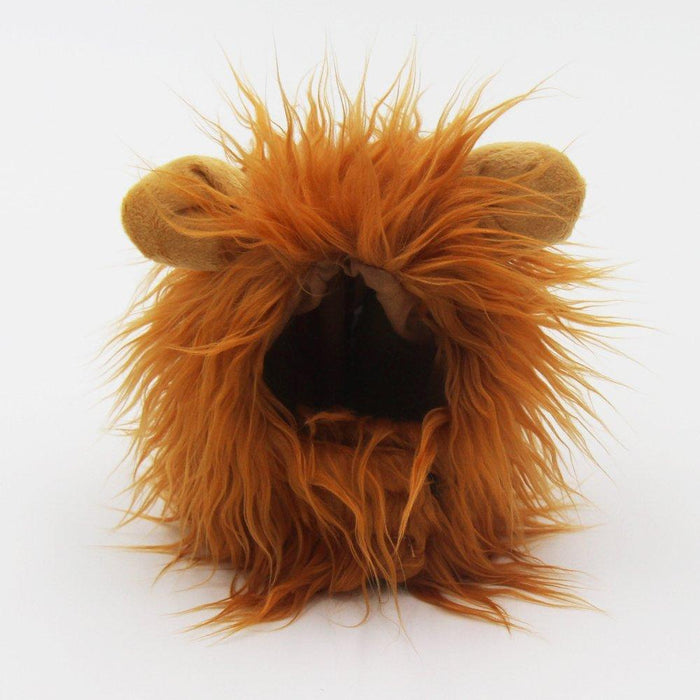 Cat Lion Mane