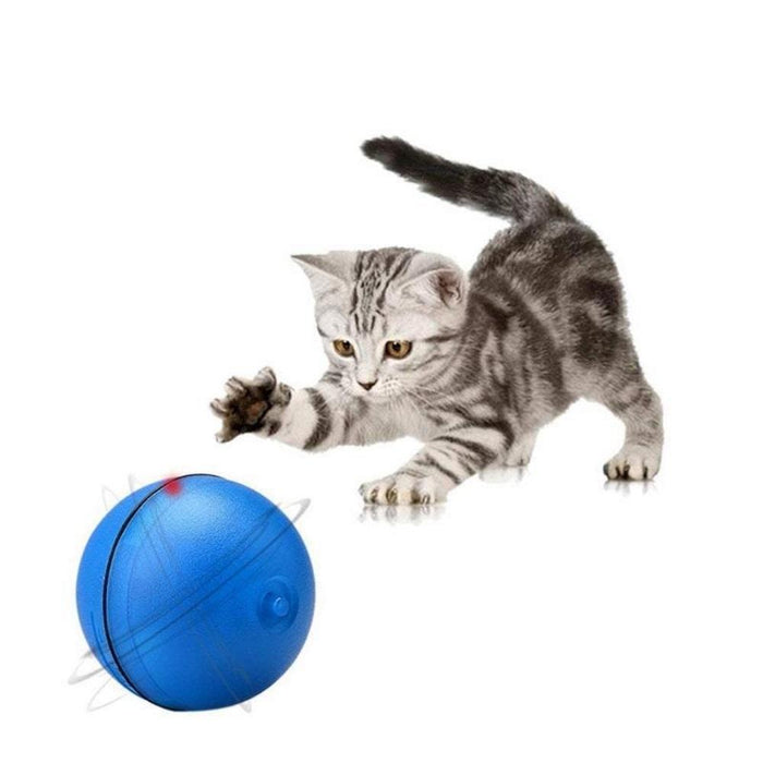 Rolling Laser Ball Pet Toy