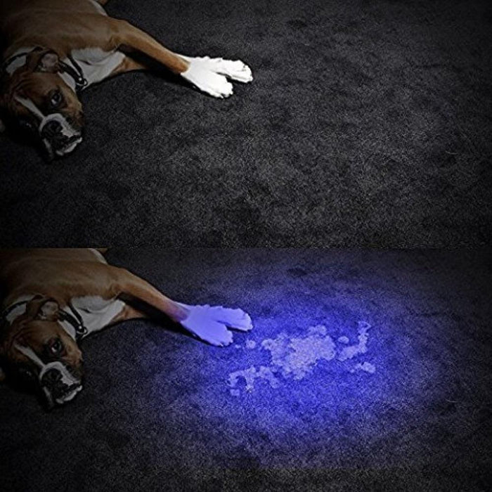 Pet Pointer Laser