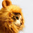 Cat Lion Mane