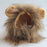 Cat Lion Mane