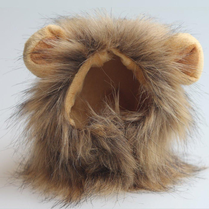 Cat Lion Mane