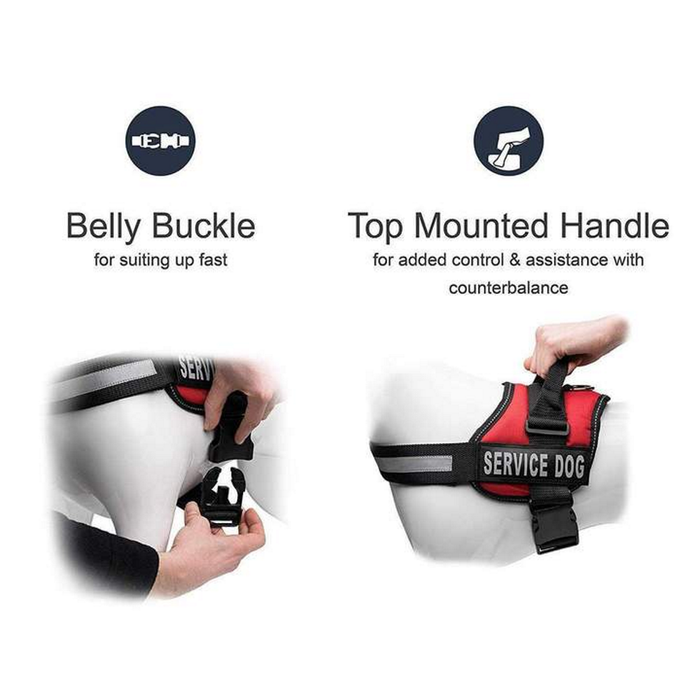 Reflective Safety Dog Harness