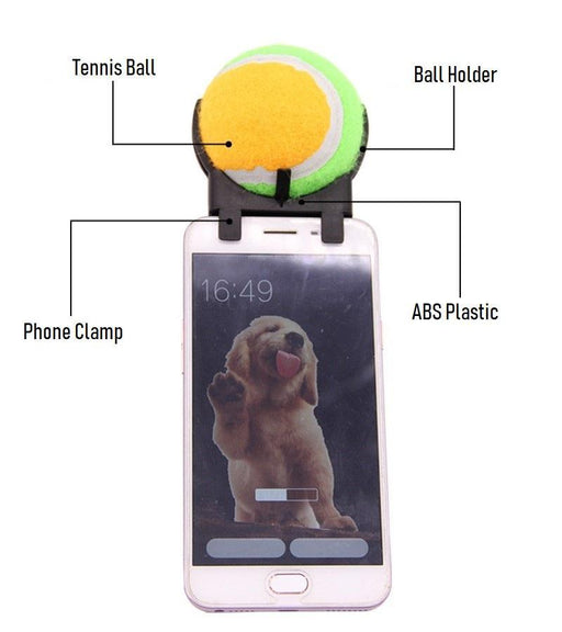 Pet Selfie Tool
