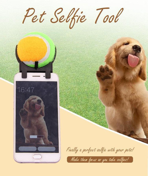 Pet Selfie Tool
