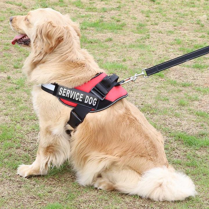Reflective Safety Dog Harness