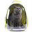 Cat Carrying Backpack
