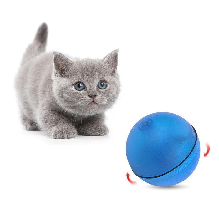 Rolling Laser Ball Pet Toy