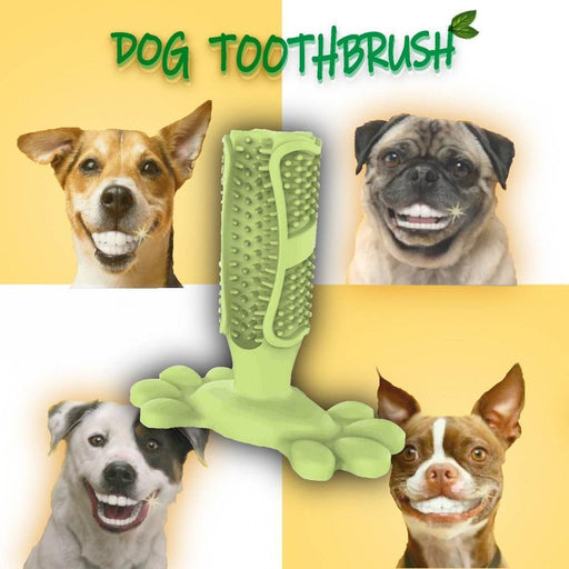 Dog Toothbrush