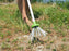 Insects Catcher
