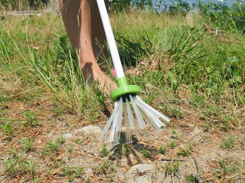 Insects Catcher