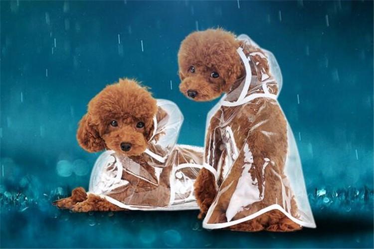 Pet Raincoat (50% OFF)