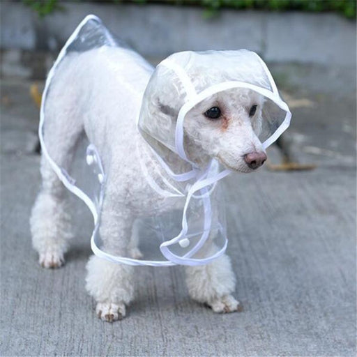 Pet Raincoat (50% OFF)