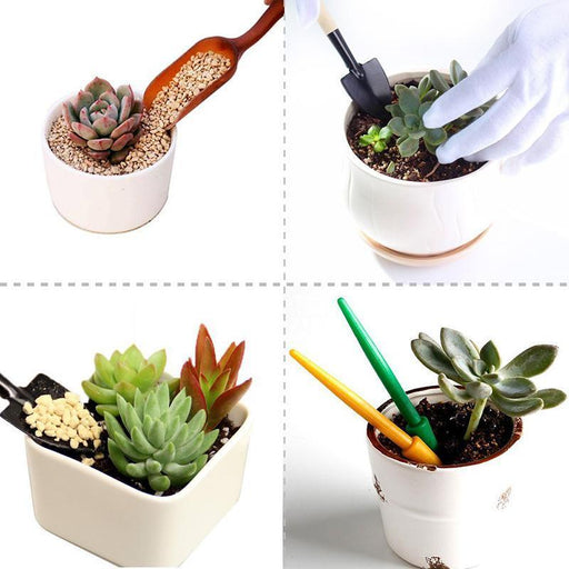21pcs Succulent Gardening Tool