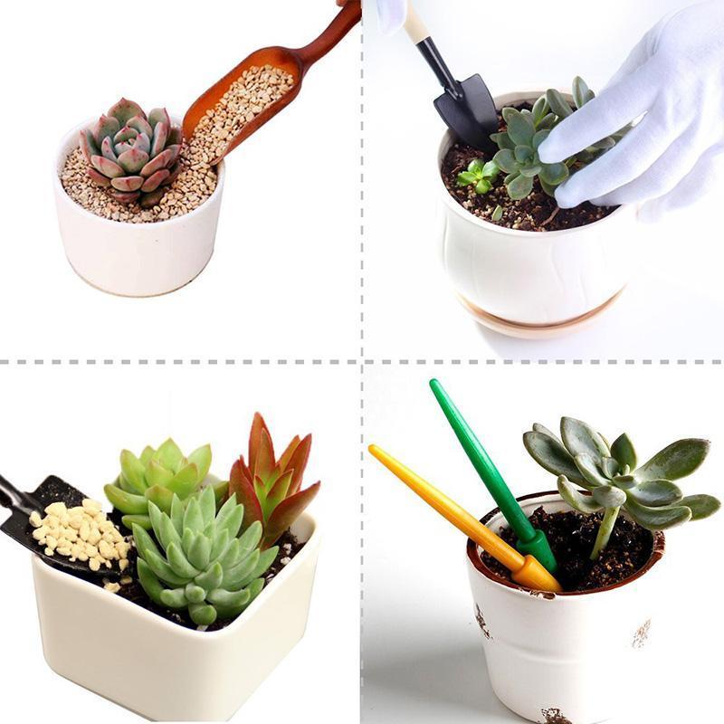 21pcs Succulent Gardening Tool