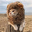 Cat Lion Mane
