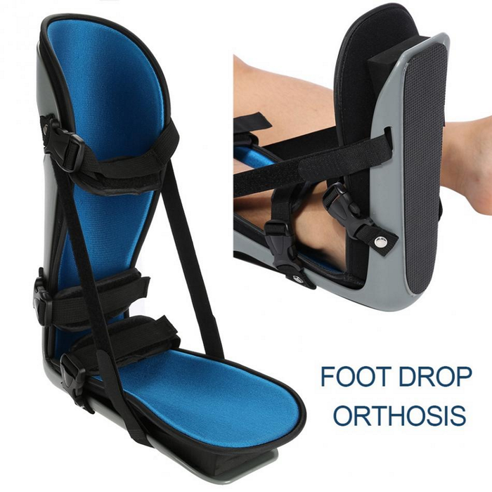 Foot Orthosis Support
