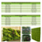 Vertical Wall Planter