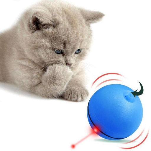 Rolling Laser Ball Pet Toy