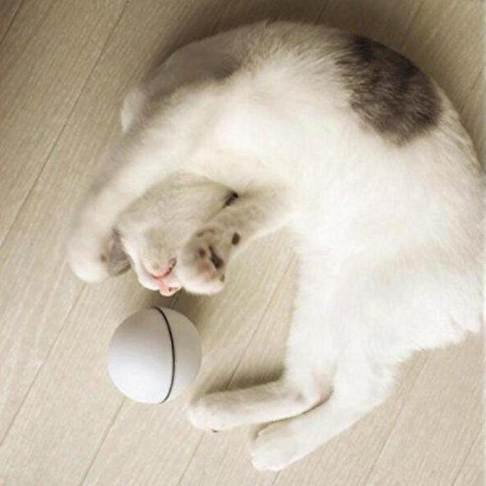 Rolling Laser Ball Pet Toy