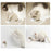 Rolling Laser Ball Pet Toy