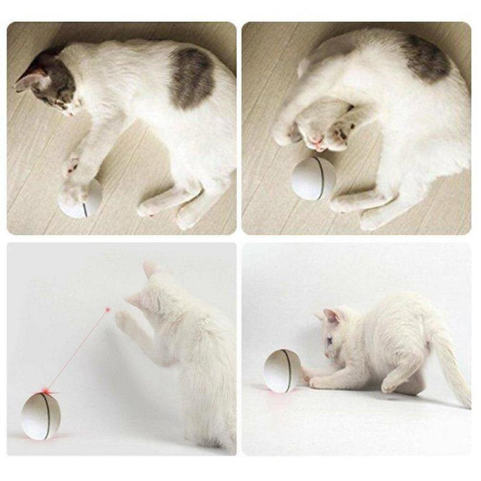 Rolling Laser Ball Pet Toy
