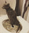 Cat Toilet Training Kit