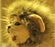 Cat Lion Mane